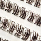 Iconic Lash Set